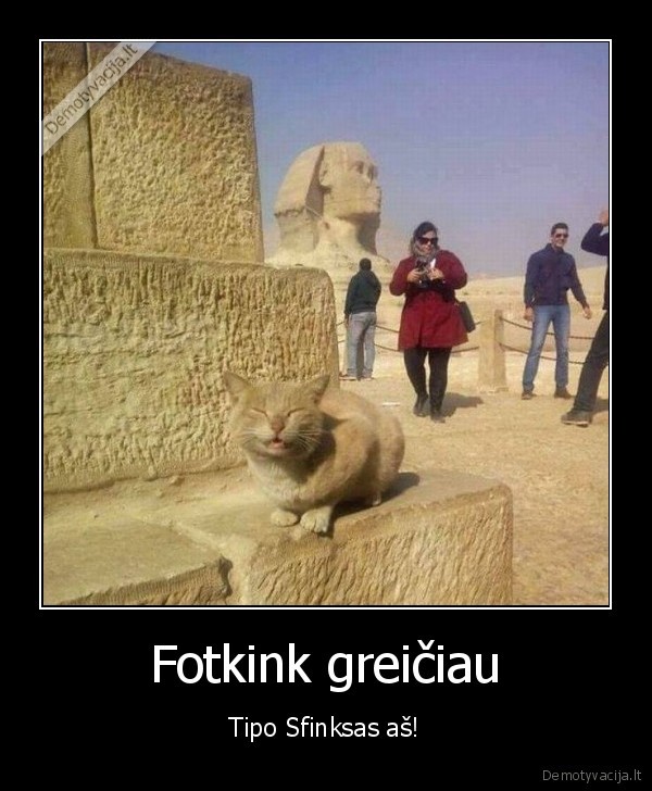 egiptas,katinas, pozuoja