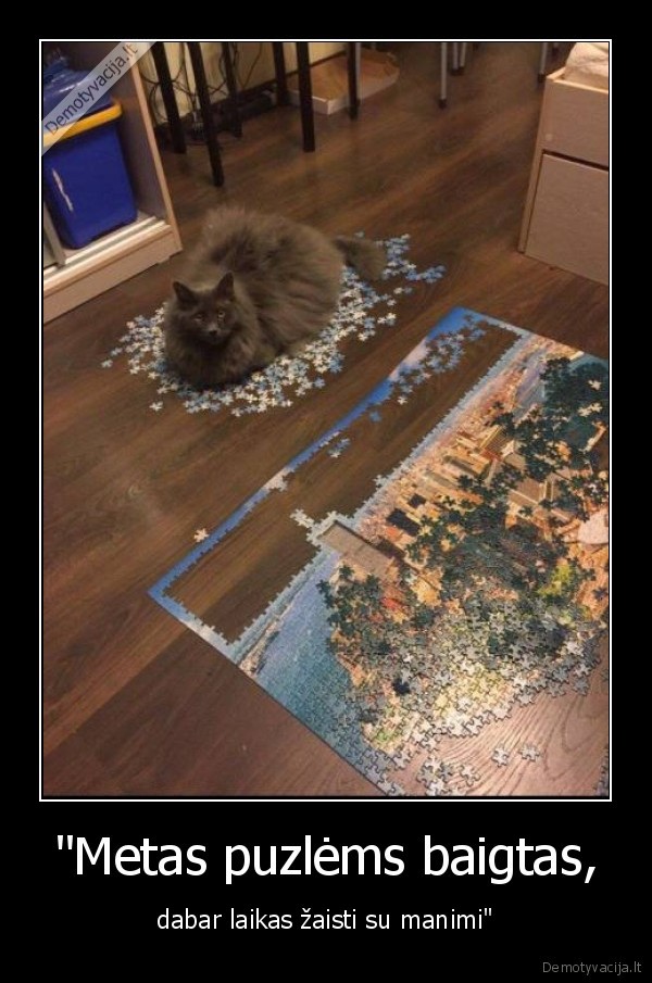 kate,katinas,puzle
