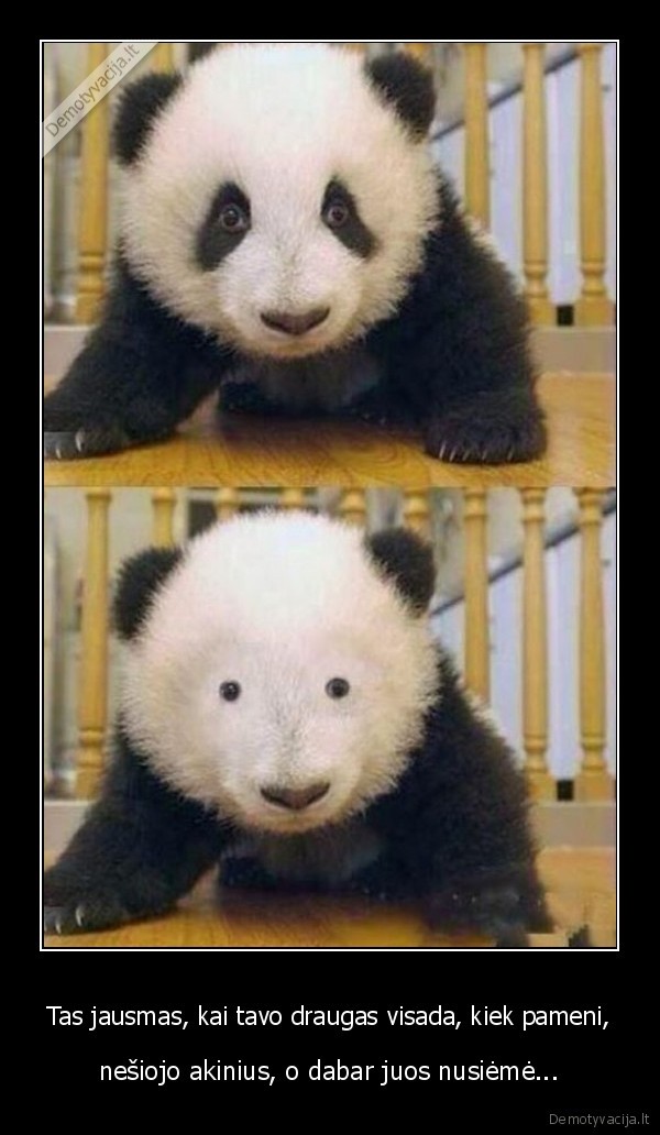 be, akiniu,panda,mazos, akys