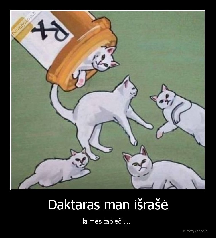 katinai,laime,tabletes
