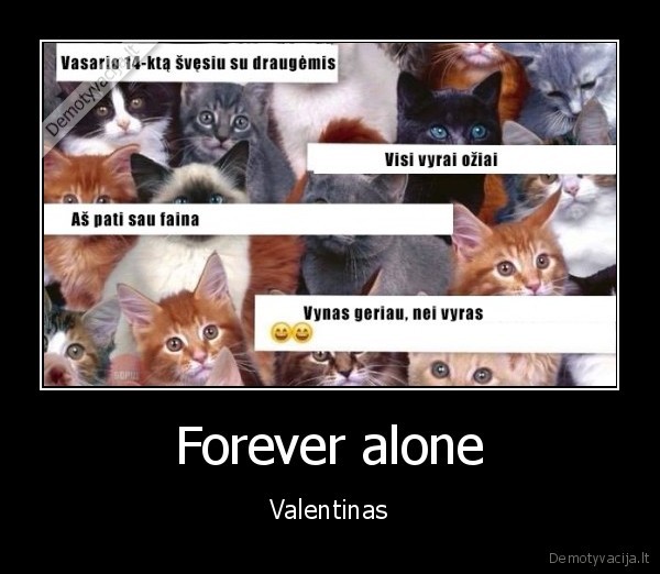 katinai,forever, alone,meiles, diena
