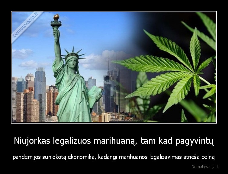 marihuana,420,new, york,pandemija