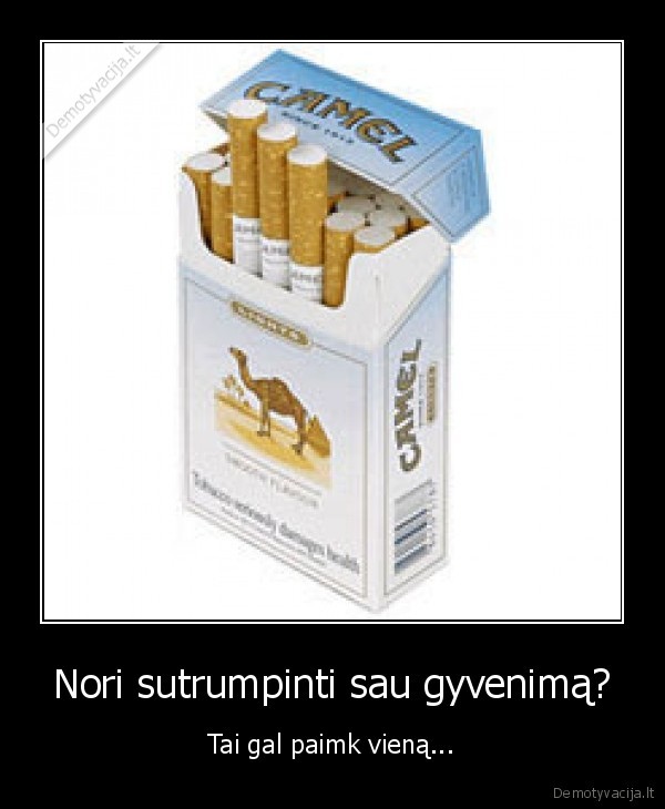 gyvenimas,cigaretes