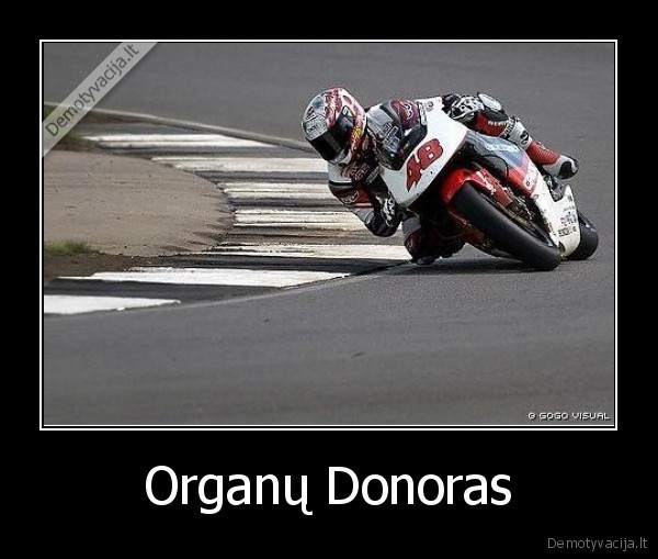 Organų Donoras