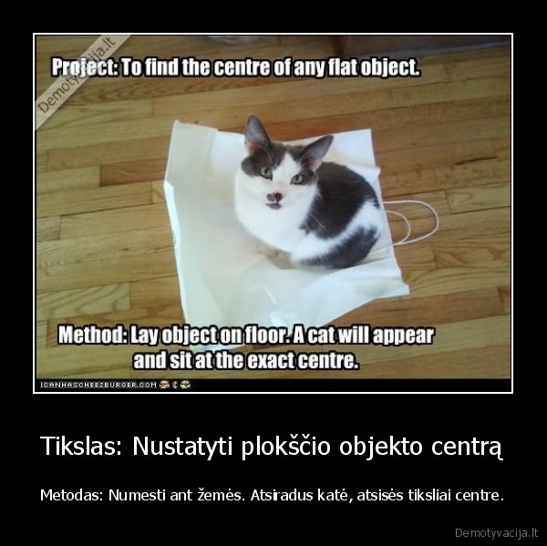 kate,katinas,centras,objektas,metodas,tikslas,mokslas