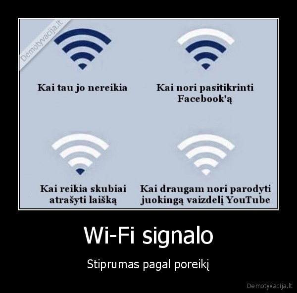 wi, fi, signalas,wifi, signalas